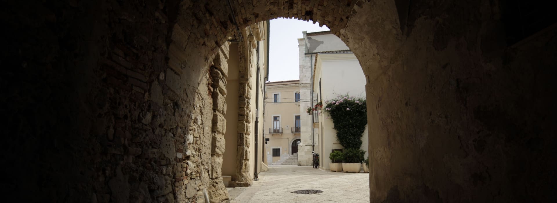 newsletter novita olio di oliva extravergine sunnn